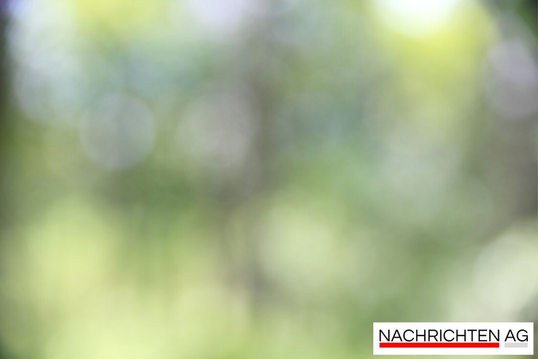 Dresden plant den Abriss der Carolabrücke nach Einsturz im September 2024 und den schnellen Ersatzneubau bis Sommer 2025.